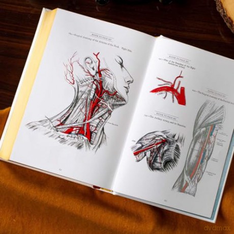 Gray's Anatomy: Anatomy Descriptive and Surgical (Leather-bound Classics) - Dr. Henry Gray FRS [KSIĄŻKA]