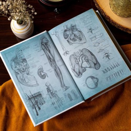 Gray's Anatomy: Anatomy Descriptive and Surgical (Leather-bound Classics) - Dr. Henry Gray FRS [KSIĄŻKA]