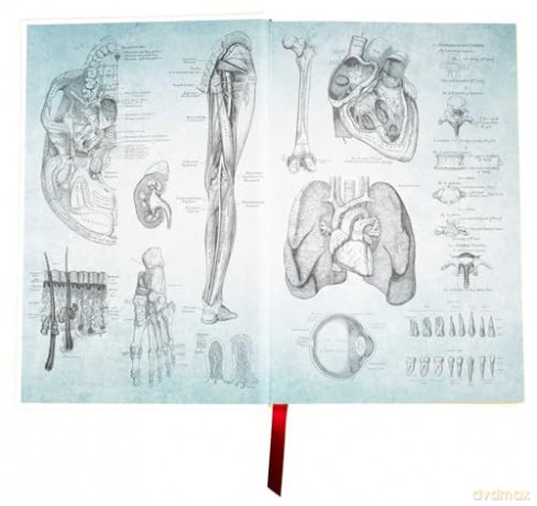 Gray's Anatomy: Anatomy Descriptive and Surgical (Leather-bound Classics) - Dr. Henry Gray FRS [KSIĄŻKA]