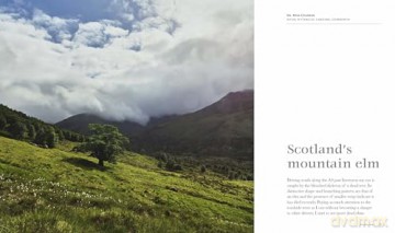 Great British Elms: The remarkable story of an iconic tree and it's return from the brink - Mark Seddon [KSIĄŻKA]