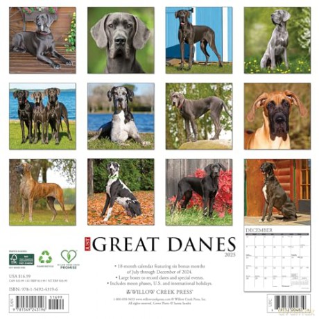 Great Danes 2025 Wall [KSIĄŻKA]