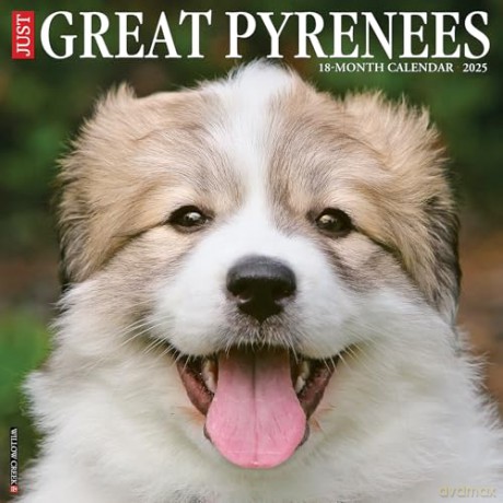 Great Pyrenees 2025 Wall [KSIĄŻKA]