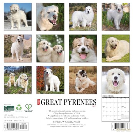 Great Pyrenees 2025 Wall [KSIĄŻKA]