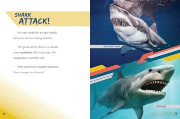 Great White Shark vs Megalodon (Beastly Battles) - Charles C. Hofer [KSIĄŻKA]