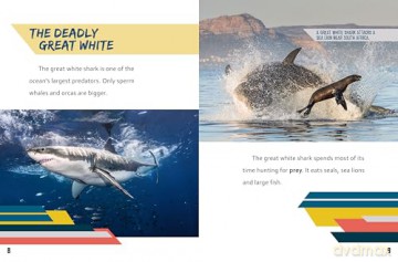 Great White Shark vs Megalodon (Beastly Battles) - Charles C. Hofer [KSIĄŻKA]