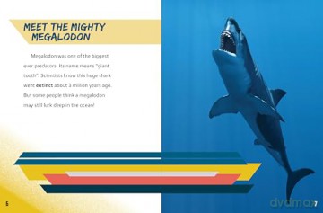 Great White Shark vs Megalodon (Beastly Battles) - Charles C. Hofer [KSIĄŻKA]