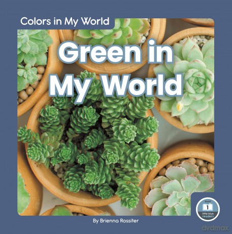 Green in My World (Colors in My World) - Brienna Rossiter [KSIĄŻKA]
