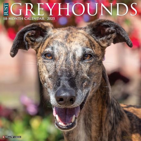 Greyhounds 2025 Wall [KSIĄŻKA]