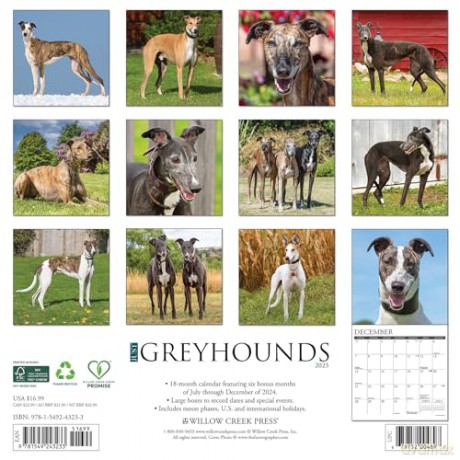 Greyhounds 2025 Wall [KSIĄŻKA]