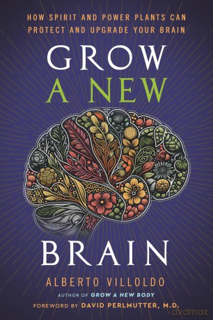 Grow a New Brain: How Spirit and Power Plants Can Protect and Upgrade Your Brain - Alberto Villoldo [KSIĄŻKA]