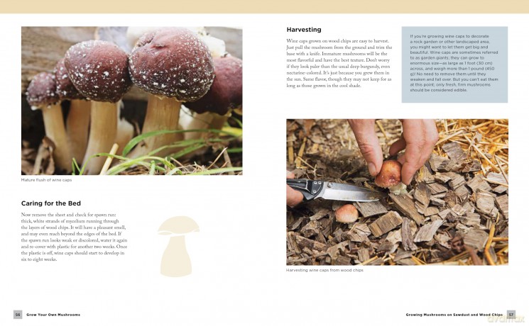 Grow Your Own Mushrooms: A Beginner's Guide: An Illustrated Guide to Cultivating Your Own Mushrooms at Home - Tavis Lynch [KSIĄŻKA]
