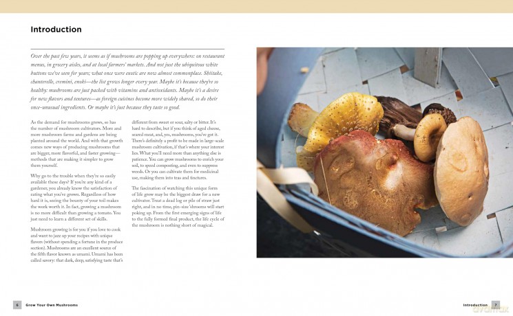 Grow Your Own Mushrooms: A Beginner's Guide: An Illustrated Guide to Cultivating Your Own Mushrooms at Home - Tavis Lynch [KSIĄŻKA]