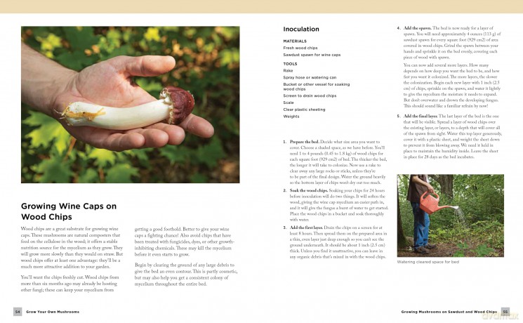 Grow Your Own Mushrooms: A Beginner's Guide: An Illustrated Guide to Cultivating Your Own Mushrooms at Home - Tavis Lynch [KSIĄŻKA]