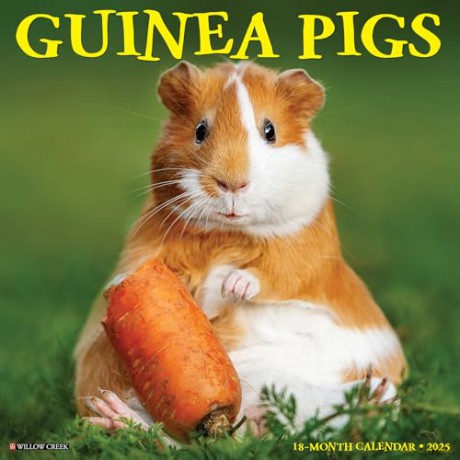 Guinea Pigs 2025 Wall [KSIĄŻKA]