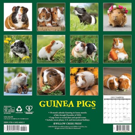 Guinea Pigs 2025 Wall [KSIĄŻKA]