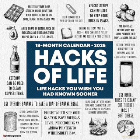 Hacks of Life 2025 Wall [KSIĄŻKA]