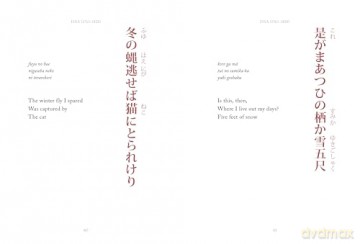Haiku: Classic Japanese Short Poems (Chinese Bound) - Hart (Translator) Larrabee [KSIĄŻKA]