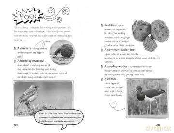 Hamza's Wild World: Packed with fun animal facts! - Hamza Yassin [KSIĄŻKA]