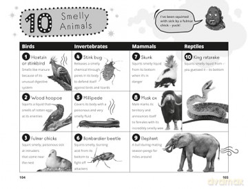 Hamza's Wild World: Packed with fun animal facts! - Hamza Yassin [KSIĄŻKA]
