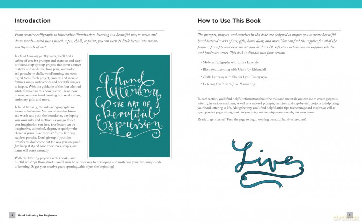 Hand Lettering for Beginners: Inspiring tips, techniques, and ideas for hand lettering your way to beautiful works of art - Gabri Joy Kirkendall [KSIĄŻKA]