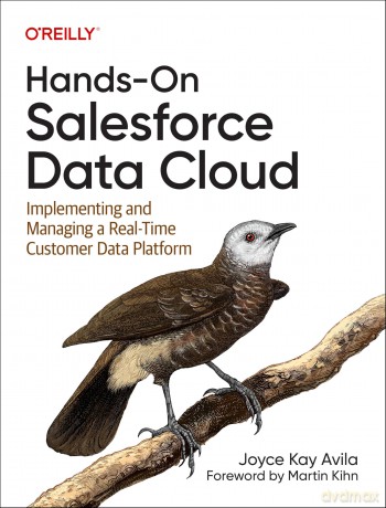 Hands-On Salesforce Data Cloud: Implementing and Managing a Real-Time Customer Data Platform - Joyce Kay Avila [KSIĄŻKA]