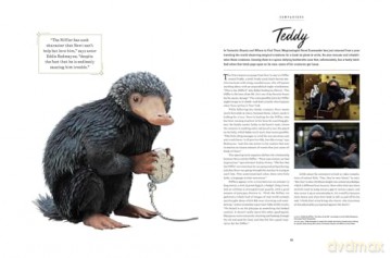 Harry Potter: The Creatures of the Wizarding World - Jody Revenson [KSIĄŻKA]