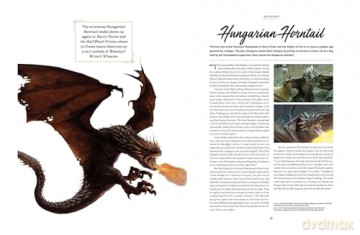 Harry Potter: The Creatures of the Wizarding World - Jody Revenson [KSIĄŻKA]