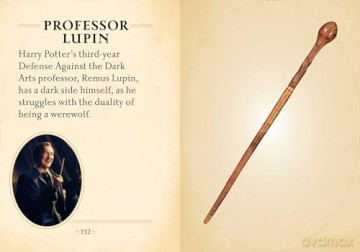 Harry Potter: The Mini Book of Wands - Jody Revenson [KSIĄŻKA]