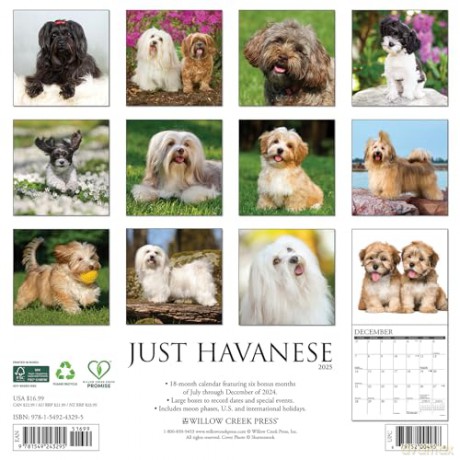 Havanese 2025 Wall [KSIĄŻKA]