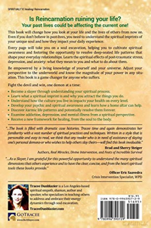 Heal Your Soul History: Activate the True Power of Your Shadow: 2 (The Demon Slayer's Handbook Series) - Tracee Dunblazier [KSIĄŻKA]