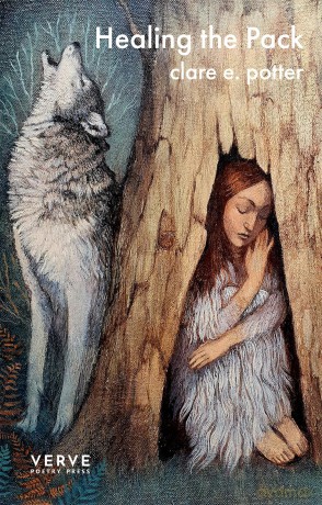 Healing The Pack - clare e. potter [KSIĄŻKA]