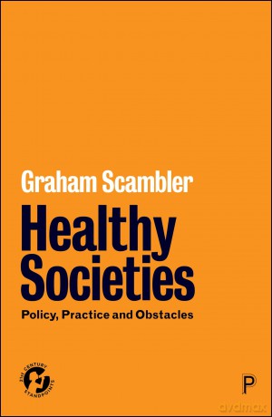 Healthy Societies: Policy, Practice and Obstacles (21st Century Standpoints) - Graham Scambler [KSIĄŻKA]