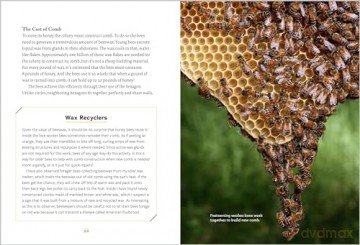 Heart of the Hive: Inside the Mind of the Honey Bee and the Incredible Life Force of the Colony - Eric Tourneret [KSIĄŻKA]