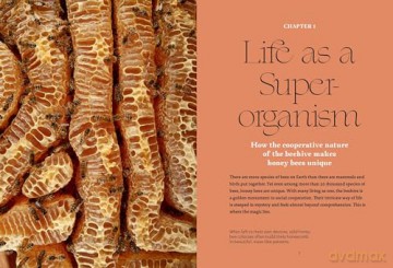 Heart of the Hive: Inside the Mind of the Honey Bee and the Incredible Life Force of the Colony - Eric Tourneret [KSIĄŻKA]