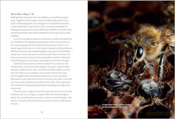Heart of the Hive: Inside the Mind of the Honey Bee and the Incredible Life Force of the Colony - Eric Tourneret [KSIĄŻKA]