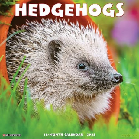 Hedgehogs 2025 Wall [KSIĄŻKA]