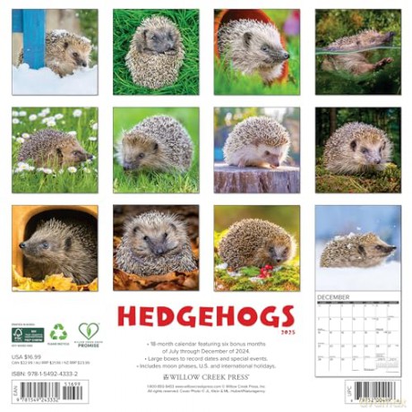 Hedgehogs 2025 Wall [KSIĄŻKA]