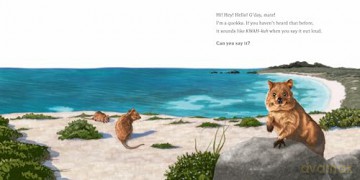 Hello, I'm a Quokka (Meet the Wild Things, Book 3) - Hayley Rocco [KSIĄŻKA]
