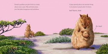 Hello, I'm a Quokka (Meet the Wild Things, Book 3) - Hayley Rocco [KSIĄŻKA]