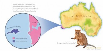 Hello, I'm a Quokka (Meet the Wild Things, Book 3) - Hayley Rocco [KSIĄŻKA]