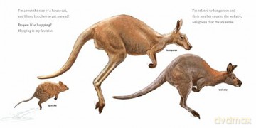 Hello, I'm a Quokka (Meet the Wild Things, Book 3) - Hayley Rocco [KSIĄŻKA]