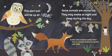 Hello, World! Bedtime - Jill McDonald [KSIĄŻKA]