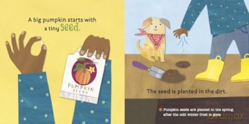 Hello, World! From Seed to Pumpkin - Jill McDonald [KSIĄŻKA]
