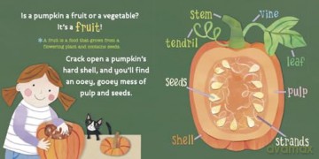 Hello, World! From Seed to Pumpkin - Jill McDonald [KSIĄŻKA]
