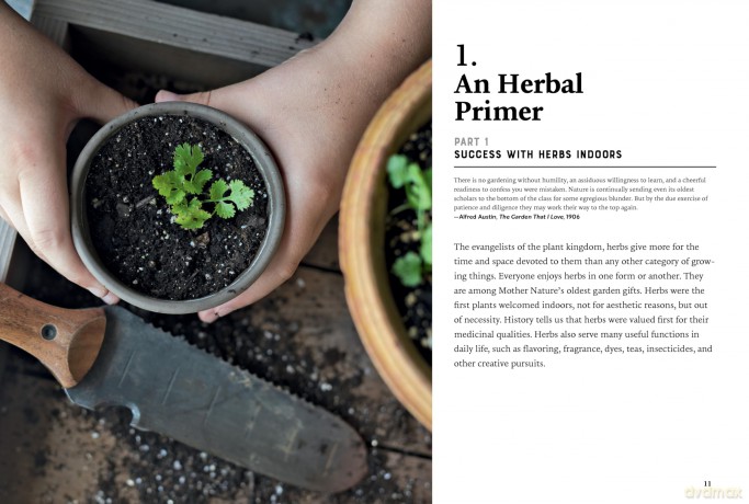 Herbal Houseplants: Grow beautiful herbs - indoors! For flavor, fragrance, and fun - Susan Betz [KSIĄŻKA]