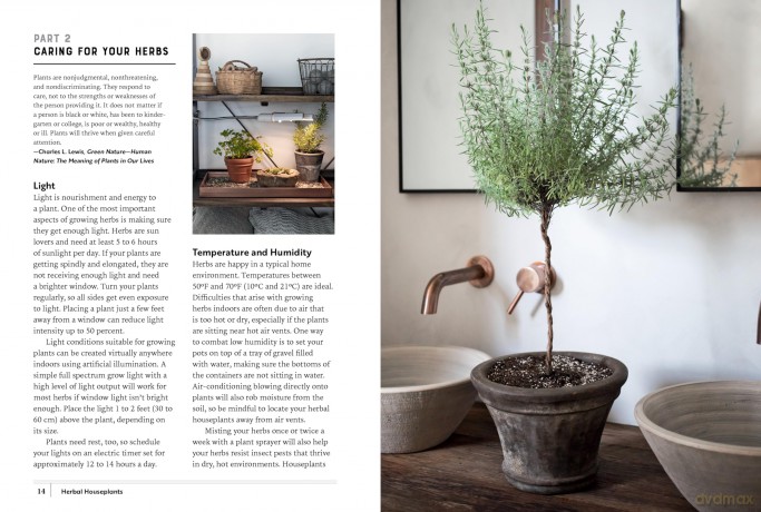 Herbal Houseplants: Grow beautiful herbs - indoors! For flavor, fragrance, and fun - Susan Betz [KSIĄŻKA]