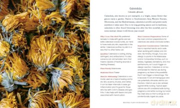 Herbal Medicine for Modern Life: Traditional Folk Remedies for Everyday Health and Well-Being - Ruth Blanding [KSIĄŻKA]