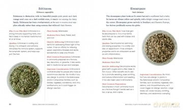 Herbal Medicine for Modern Life: Traditional Folk Remedies for Everyday Health and Well-Being - Ruth Blanding [KSIĄŻKA]