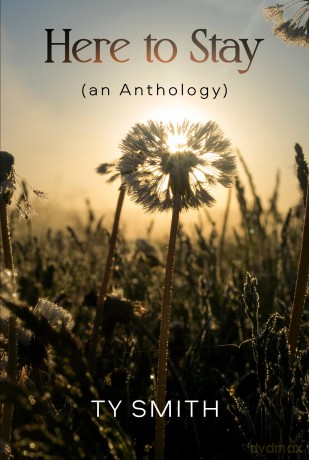 Here to Stay (an Anthology) - Ty Smith [KSIĄŻKA]