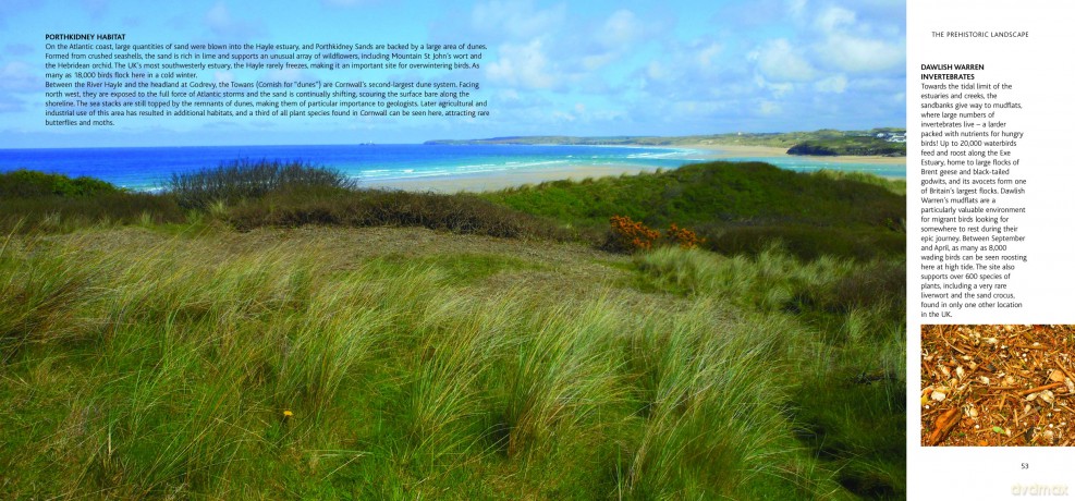 Hidden Landscapes of the South West Coast Path: Walk-Explore-Discover - Ruth Luckhurst [KSIĄŻKA]